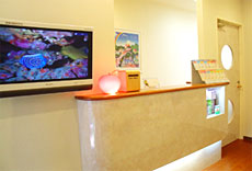 �ʐ^�F��t - �A�b�v�����ȃN���j�b�N